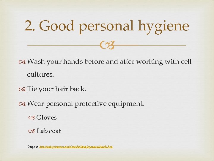 2. Good personal hygiene Wash your hands before and after working with cell cultures.