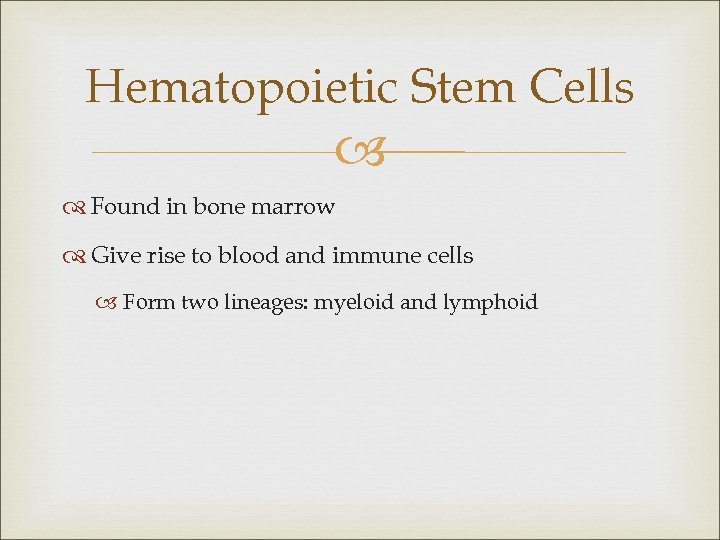Hematopoietic Stem Cells Found in bone marrow Give rise to blood and immune cells
