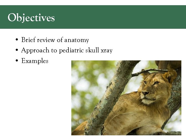 Objectives • Brief review of anatomy • Approach to pediatric skull xray • Examples