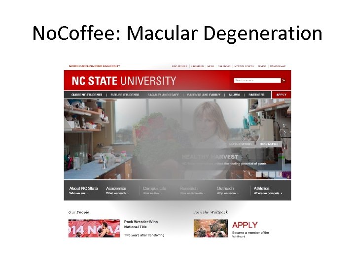 No. Coffee: Macular Degeneration 