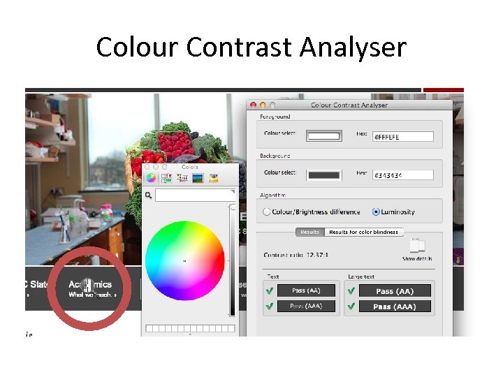Colour Contrast Analyser 