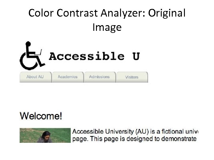 Color Contrast Analyzer: Original Image 