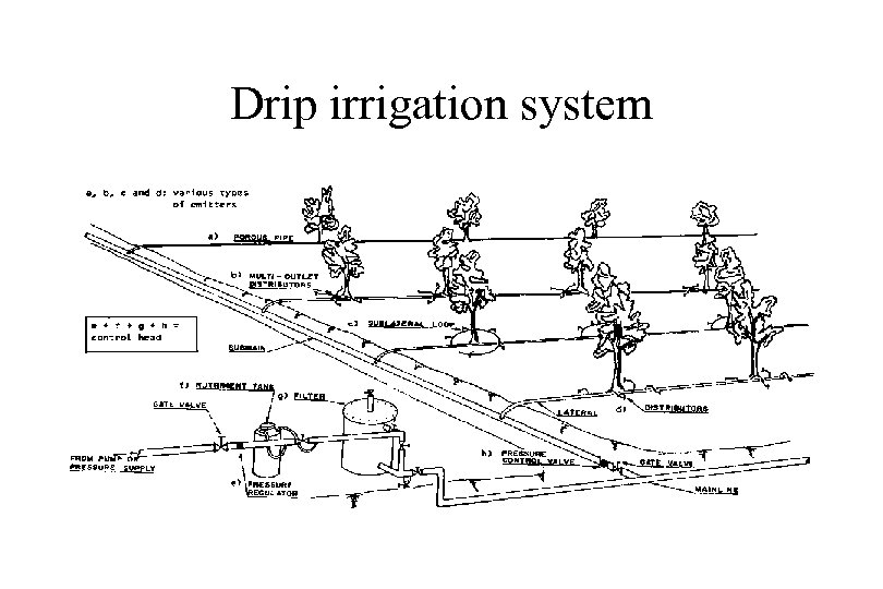 Drip irrigation system 