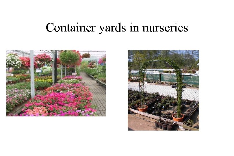 Container yards in nurseries 