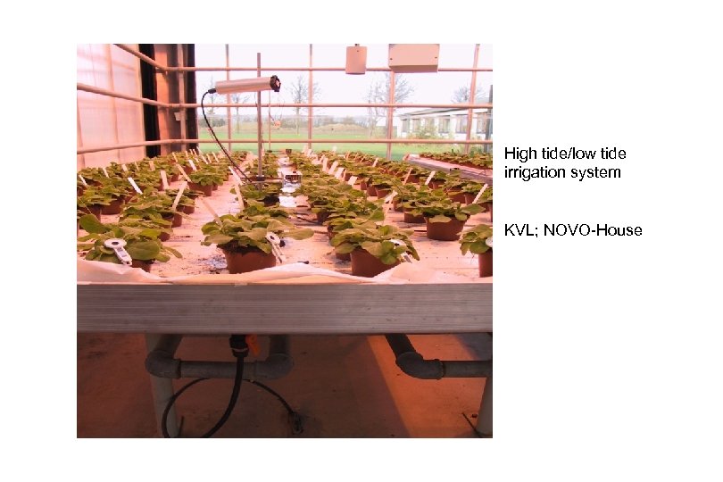 High tide/low tide irrigation system KVL; NOVO-House 