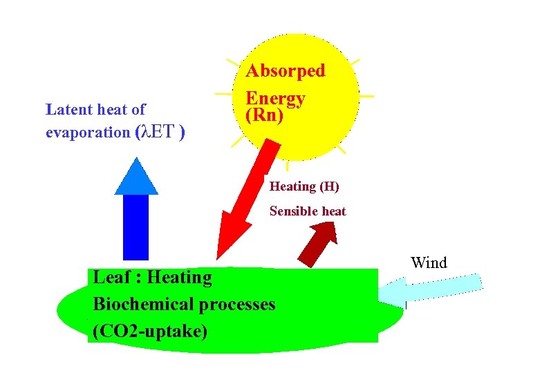  Latent heat of evaporation (λET ) Absorped Energy (Rn) Heating (H) Sensible heat