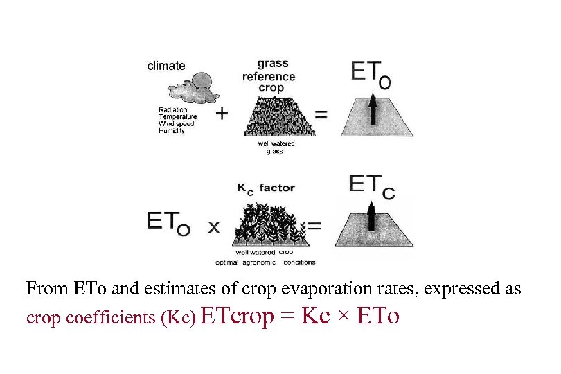 From ETo and estimates of crop evaporation rates, expressed as crop coefficients (Kc) ETcrop