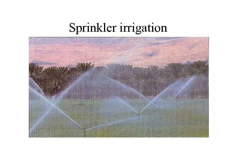 Sprinkler irrigation 