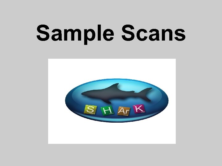 Sample Scans 
