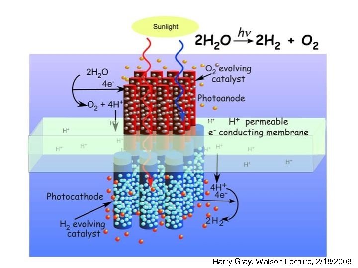 Harry Gray, Watson Lecture, 2/18/2009 