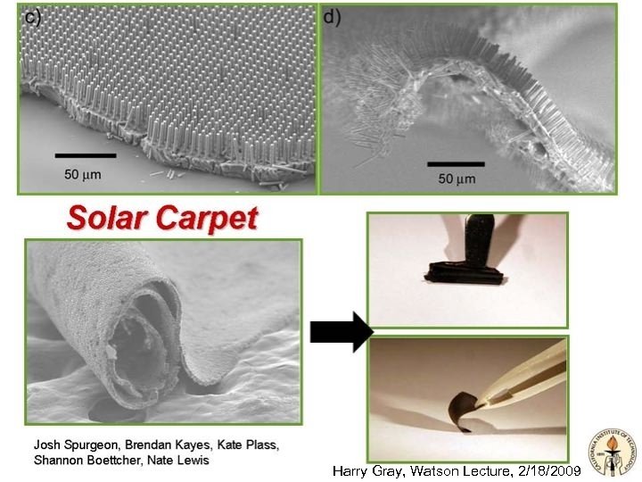 Harry Gray, Watson Lecture, 2/18/2009 