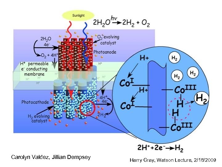 Carolyn Valdez, Jillian Dempsey Harry Gray, Watson Lecture, 2/18/2009 