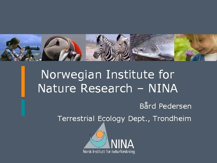 Norwegian Institute for Nature Research – NINA Bård Pedersen Terrestrial Ecology Dept. , Trondheim