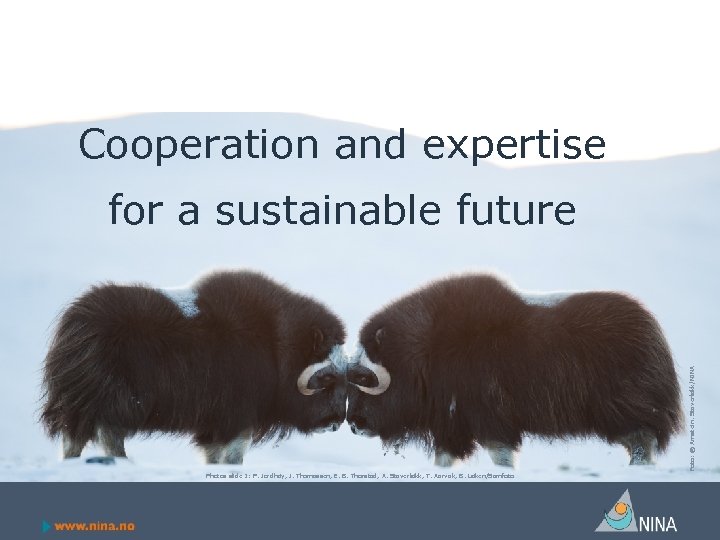 Cooperation and expertise Foto: © Arnstein. Staverløkk/NINA for a sustainable future Photos slide 1:
