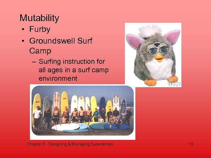 Mutability • Furby • Groundswell Surf Camp – Surfing instruction for all ages in