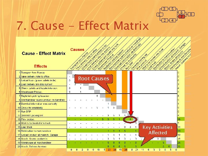 3 5 1 7. Cause - Effect Matrix 2 4 Root Causes Key Activities