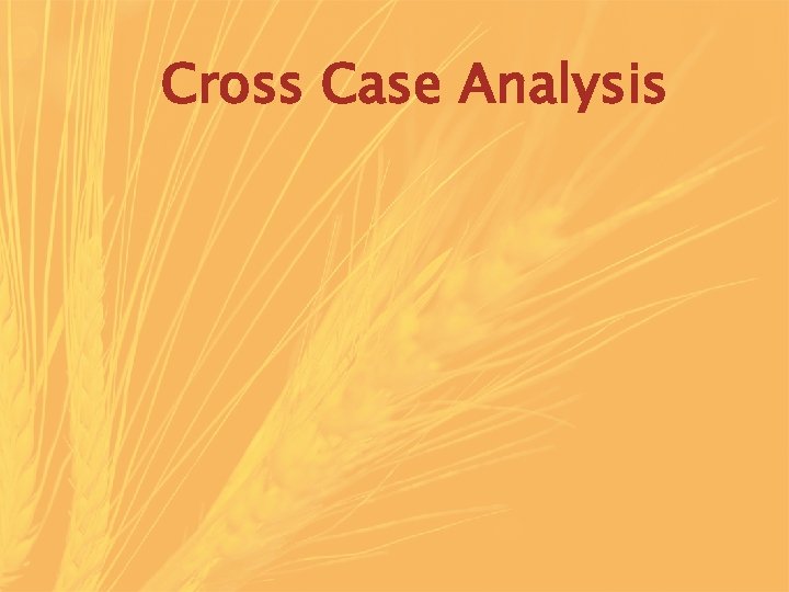 Cross Case Analysis 