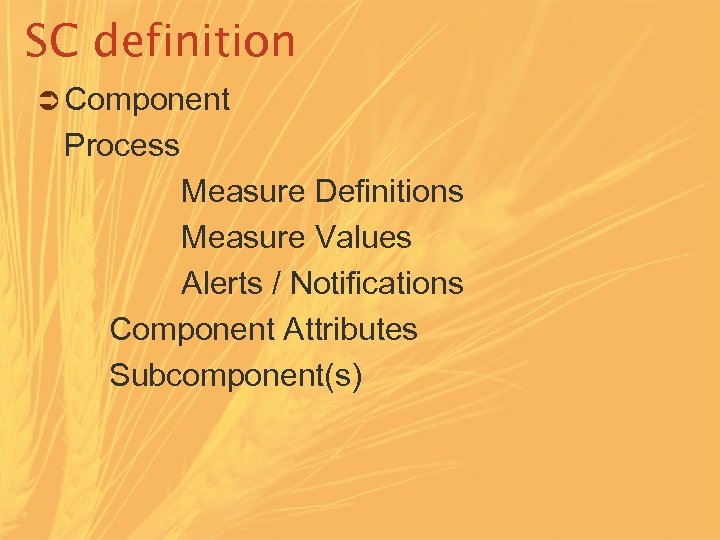 SC definition Ü Component Process Measure Definitions Measure Values Alerts / Notifications Component Attributes