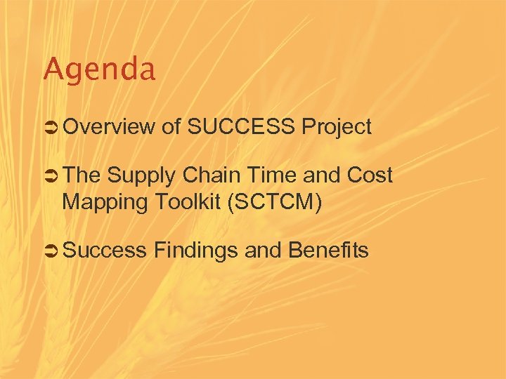 Agenda Ü Overview of SUCCESS Project Ü The Supply Chain Time and Cost Mapping