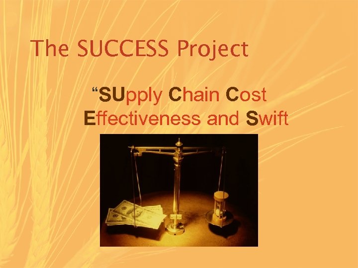 The SUCCESS Project “SUpply Chain Cost Effectiveness and Swift Service” 