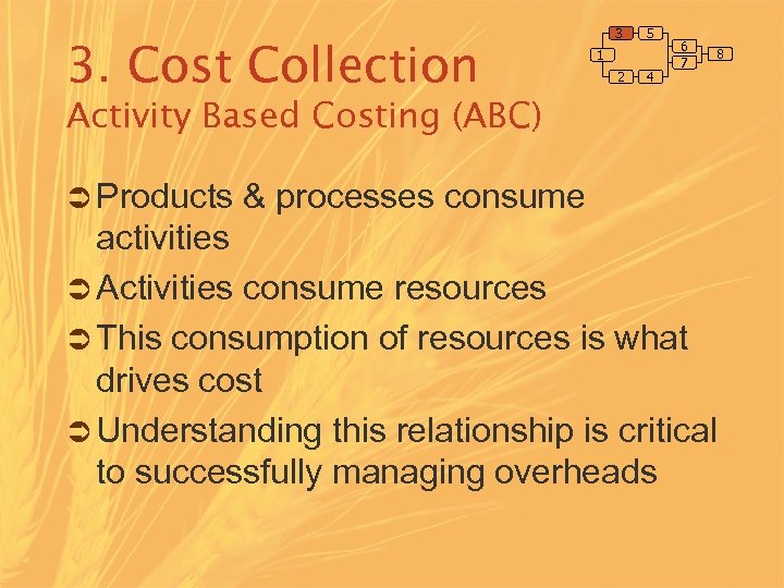 3. Cost Collection 3 5 1 2 4 6 7 8 Activity Based Costing