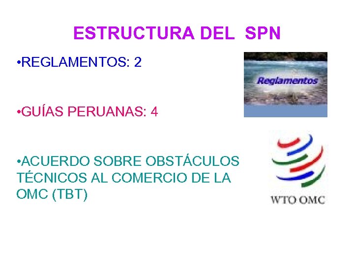 ESTRUCTURA DEL SPN • REGLAMENTOS: 2 • GUÍAS PERUANAS: 4 • ACUERDO SOBRE OBSTÁCULOS