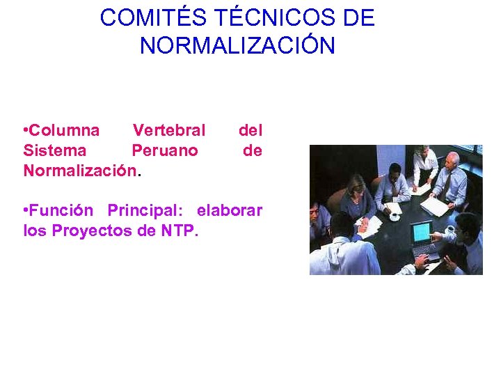 COMITÉS TÉCNICOS DE NORMALIZACIÓN • Columna Vertebral Sistema Peruano Normalización. del de • Función