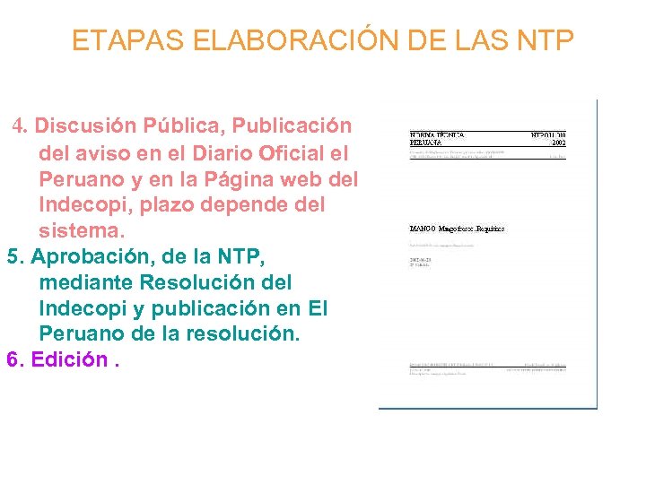 ETAPAS ELABORACIÓN DE LAS NTP 4. Discusión Pública, Publicación del aviso en el Diario