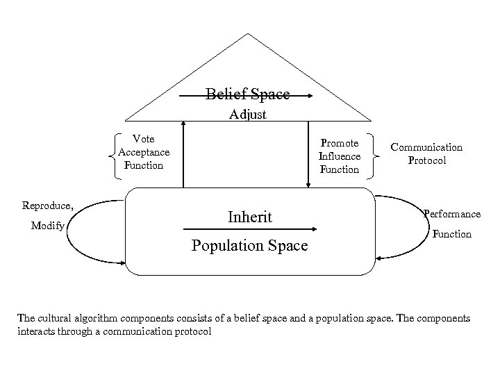 Belief Space Adjust Vote Acceptance Function Reproduce, Modify Promote Influence Function Inherit Population Space