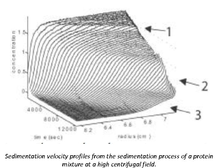 Sedimentation velocity profiles from the sedimentation process of a protein mixture at a high
