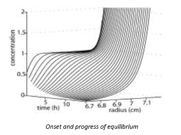 Onset and progress of equilibrium 