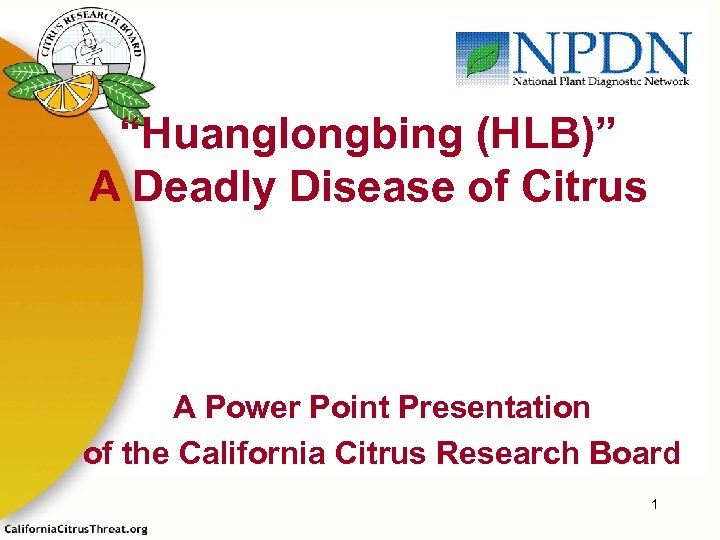 “Huanglongbing (HLB)” A Deadly Disease of Citrus A Power Point Presentation of the California