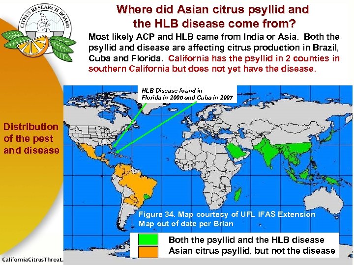 Where did Asian citrus psyllid and the HLB disease come from? Most likely ACP