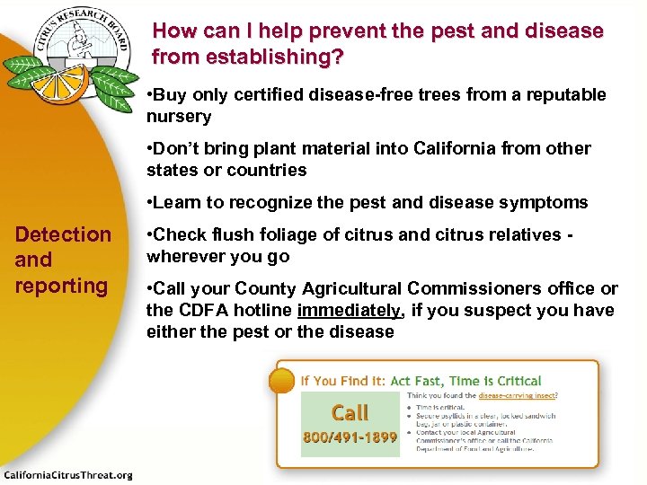 How can I help prevent the pest and disease from establishing? • Buy only