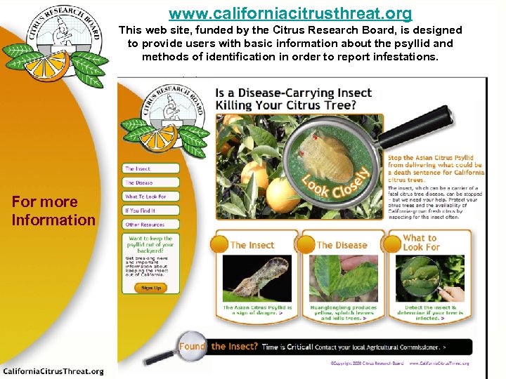 www. californiacitrusthreat. org This web site, funded by the Citrus Research Board, is designed