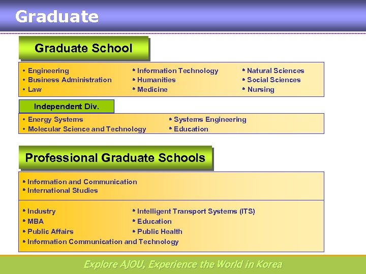 Graduate School Engineering Business Administration Law Information Technology Humanities Medicine Natural Sciences Social Sciences
