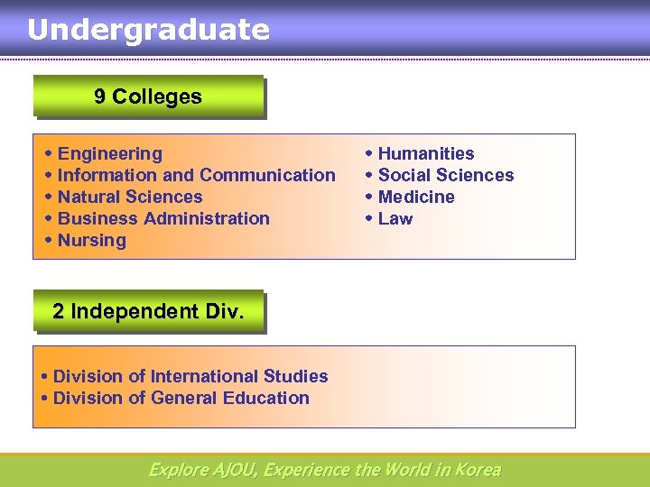 Undergraduate 9 Colleges Engineering Information and Communication Natural Sciences Business Administration Nursing Humanities Social