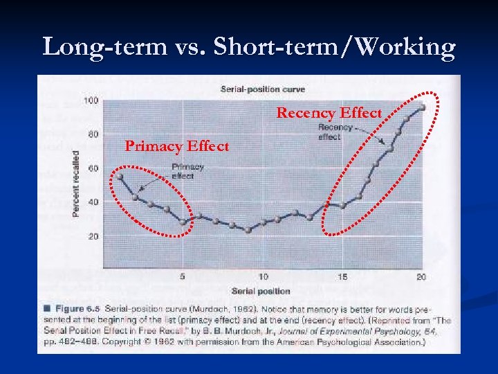 Long-term vs. Short-term/Working Recency Effect Primacy Effect 