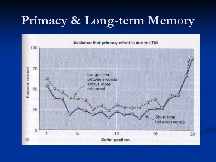 Primacy & Long-term Memory 