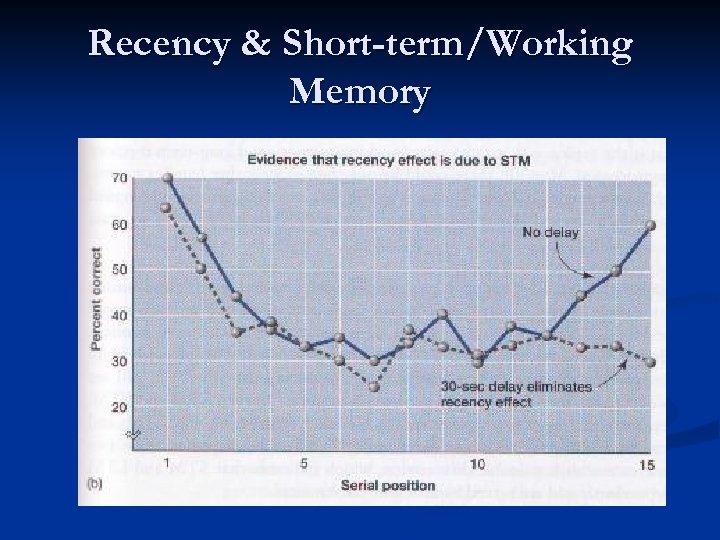 Recency & Short-term/Working Memory 