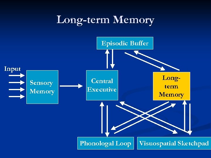 Long-term Memory Episodic Buffer Input Sensory Memory Central Executive Phonologal Loop Longterm Memory Visuospatial