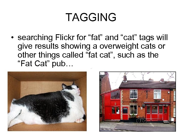 TAGGING • searching Flickr for “fat” and “cat” tags will give results showing a