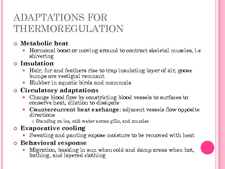 ADAPTATIONS FOR THERMOREGULATION Metabolic heat Hormonal boost or moving around to contract skeletal muscles,