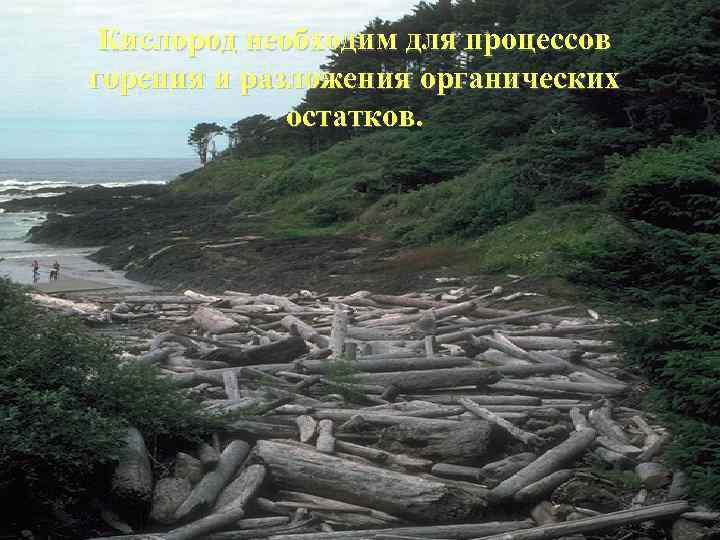 Кислород необходим для процессов горения и разложения органических остатков. 