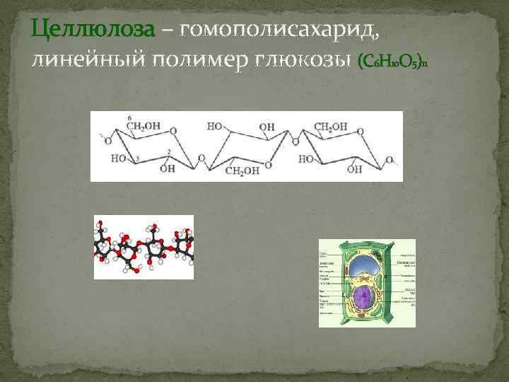 Целлюлоза – гомополисахарид, линейный полимер глюкозы (С Н О ) 6 10 5 n