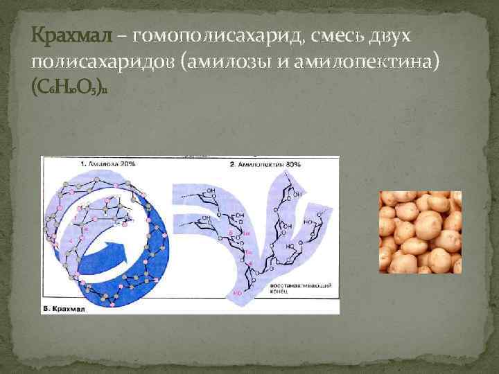 Крахмал – гомополисахарид, смесь двух полисахаридов (амилозы и амилопектина) (С 6 Н 10 О