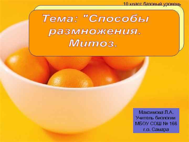 10 класс базовый уровень Максимова Л. А. Учитель биологии МБОУ СОШ № 166 г.