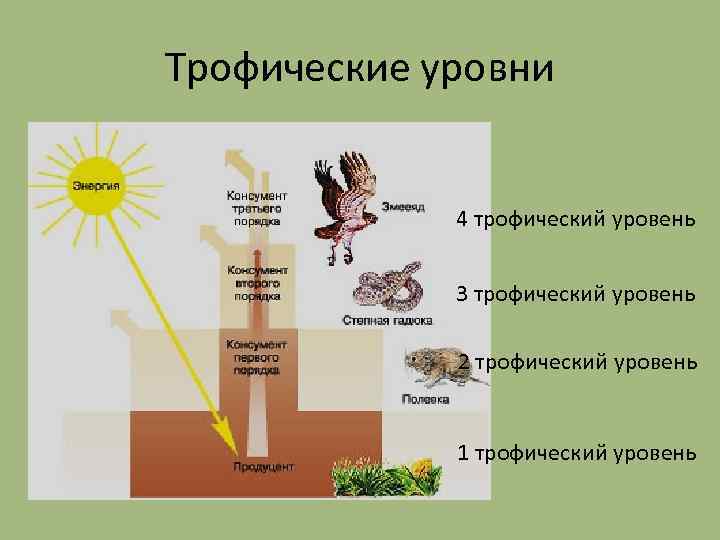 Лень энергия и цели подробное пошаговое руководство как навсегда приручить свою лень алексей кройтор