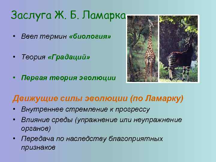 Заслуга Ж. Б. Ламарка • Ввел термин «биология» • Теория «Градаций» • Первая теория