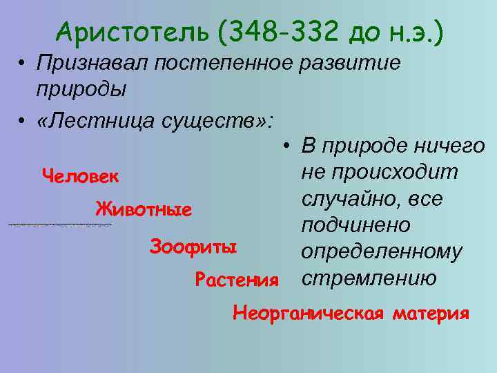 Аристотель (348 -332 до н. э. ) • Признавал постепенное развитие природы • «Лестница